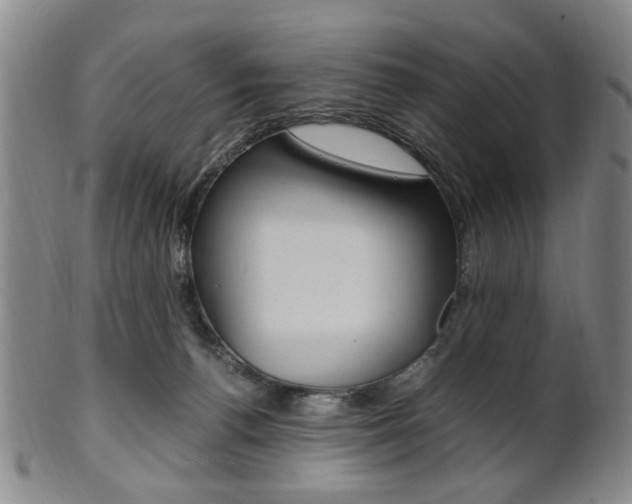 X0000101660176200807101034