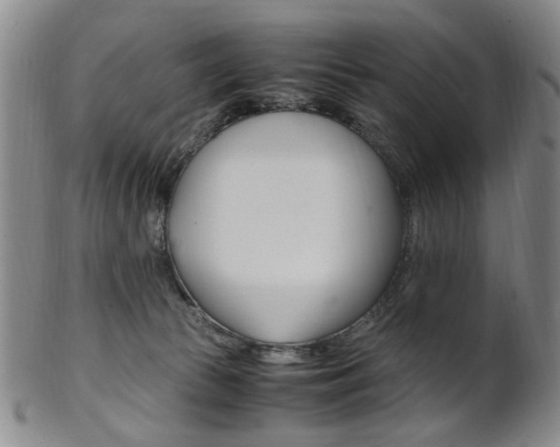 X0000101660177200807101034