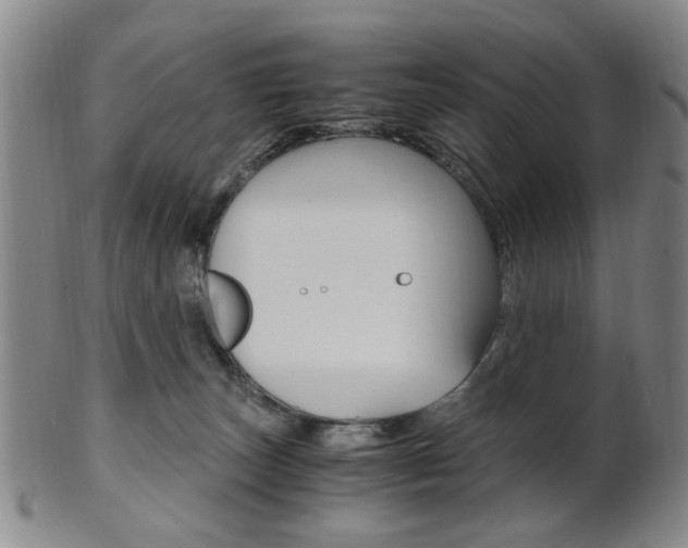 X0000101660179200807101034