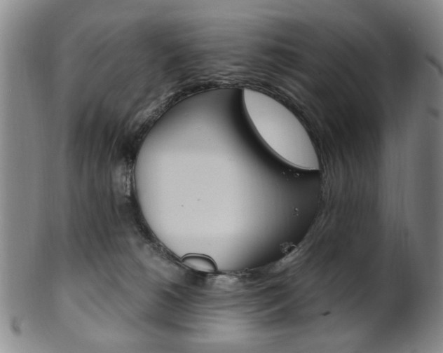 X0000101660180200807101034