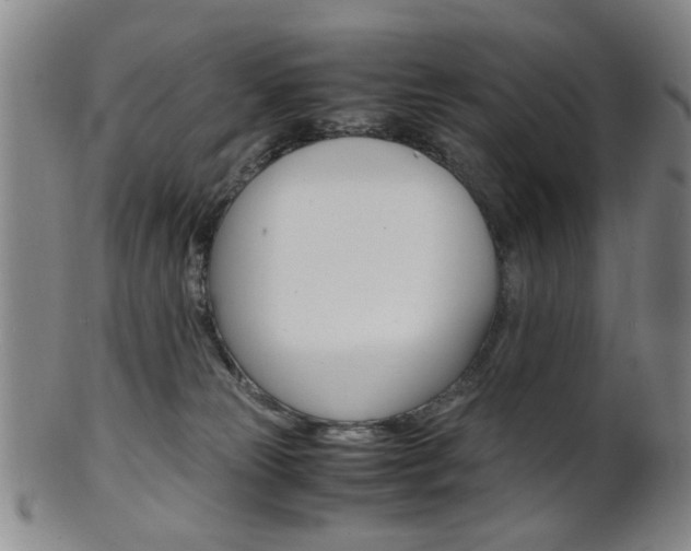 X0000101660181200807101034