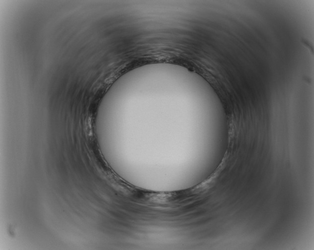 X0000101660182200807101034