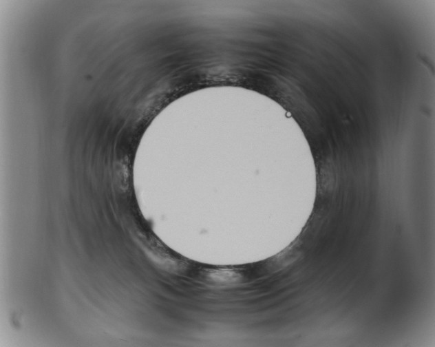X0000101660183200807101034