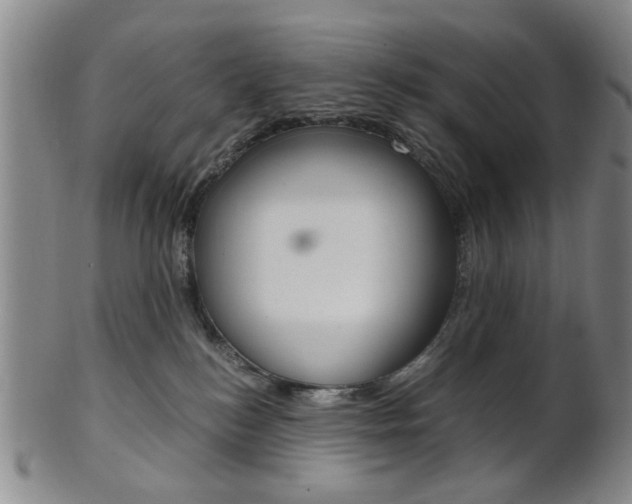 X0000101660184200807101034