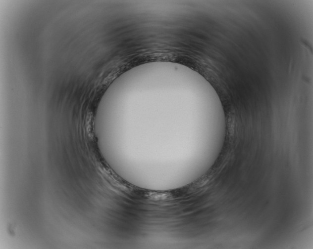 X0000101660185200807101034