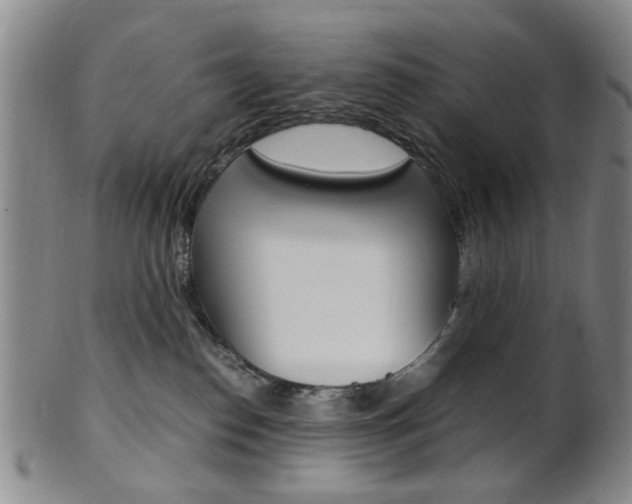 X0000101660186200807101034