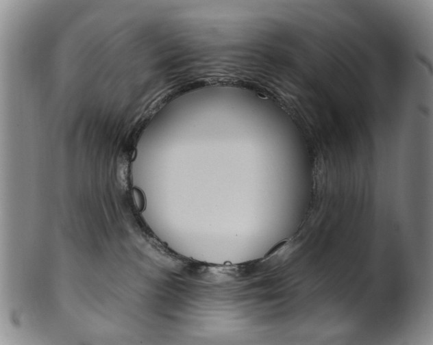 X0000101660188200807101034