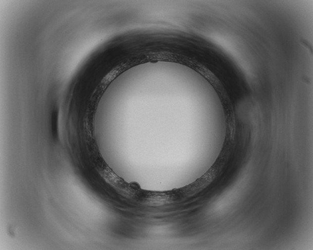 X0000101660189200807101034