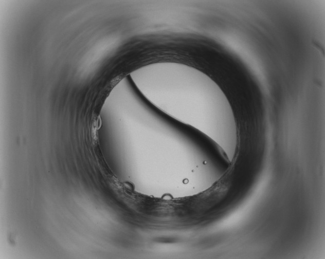 X0000101660190200807101034