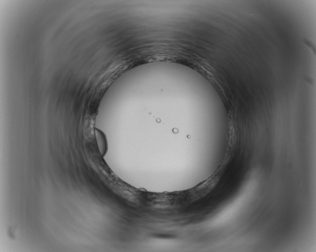 X0000101660191200807101034