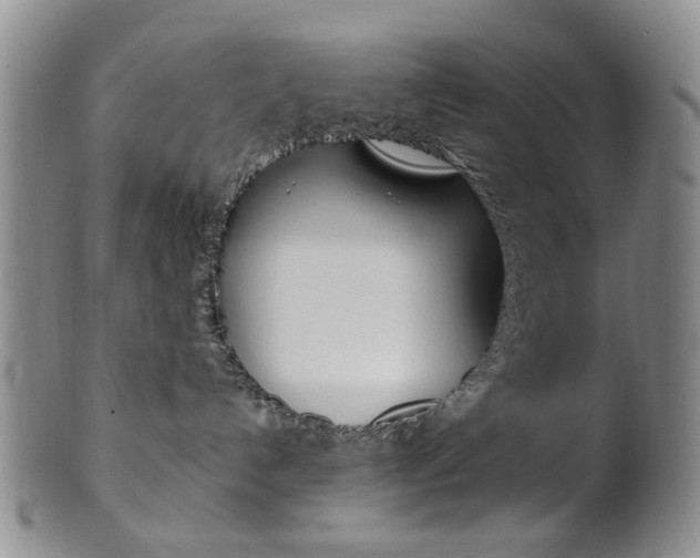 X0000101660192200807101034