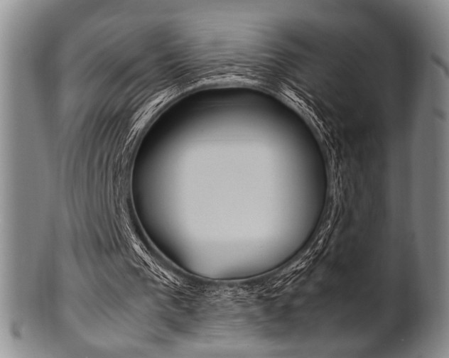 X0000101660193200807101033