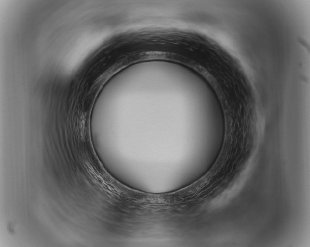 X0000101660194200807101033