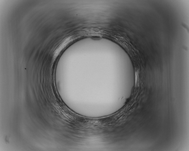 X0000101660195200807101033