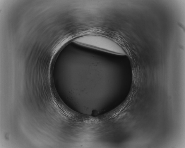 X0000101660196200807101033
