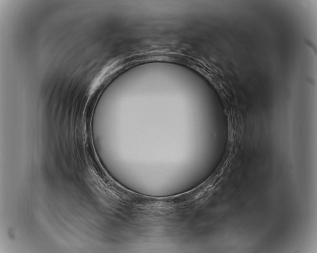 X0000101660198200807101033