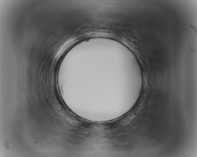 X0000101660199200807101033