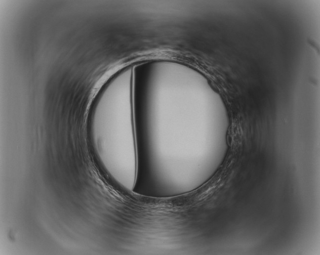 X0000101660200200807101033