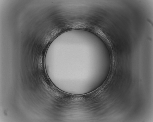 X0000101660202200807101033
