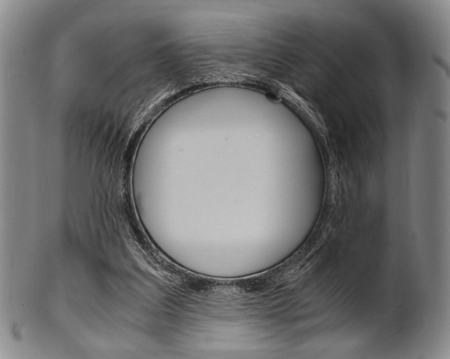 X0000101660203200807101033