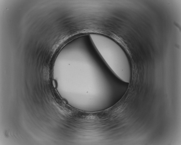 X0000101660204200807101033