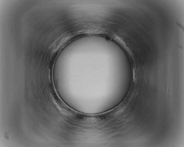 X0000101660205200807101033