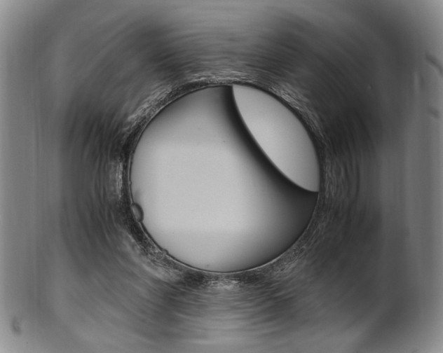 X0000101660206200807101033