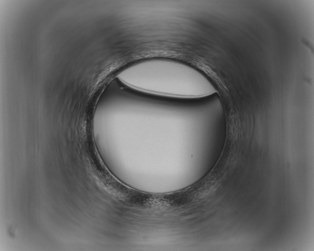 X0000101660207200807101033