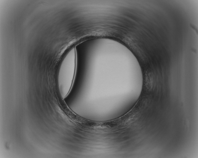 X0000101660208200807101033