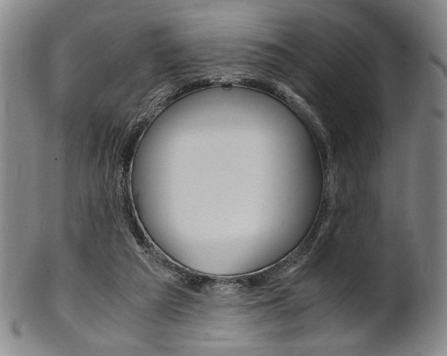 X0000101660209200807101033