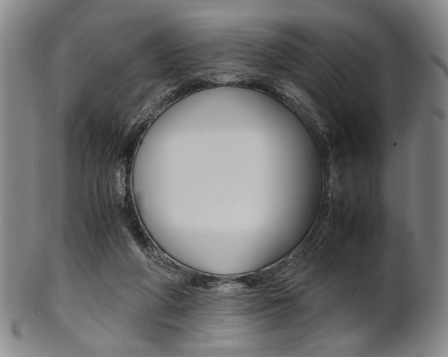X0000101660210200807101033