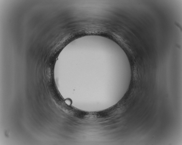 X0000101660211200807101033