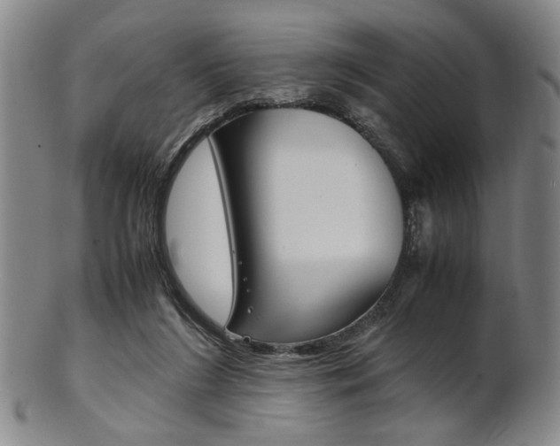 X0000101660212200807101033