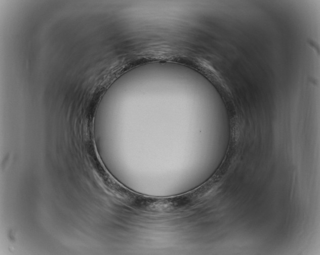 X0000101660213200807101033