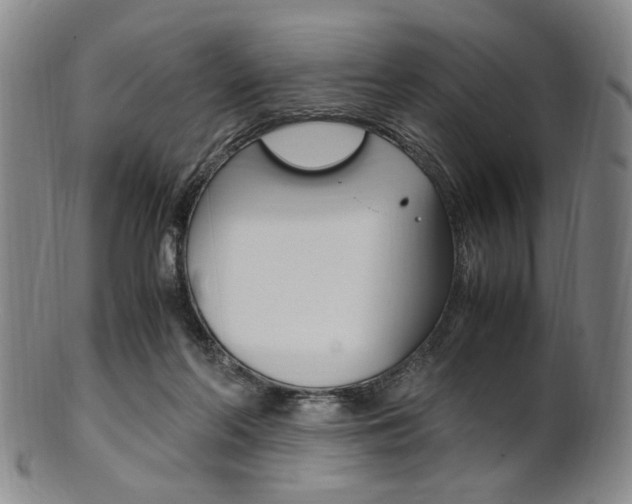 X0000101660214200807101033