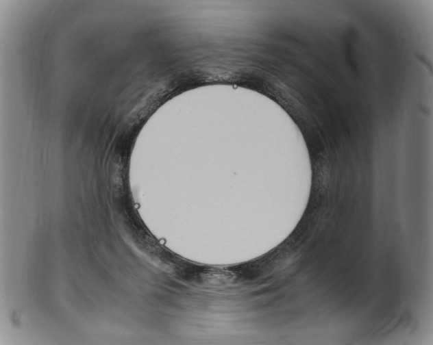 X0000101660215200807101033
