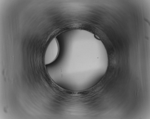 X0000101660216200807101033