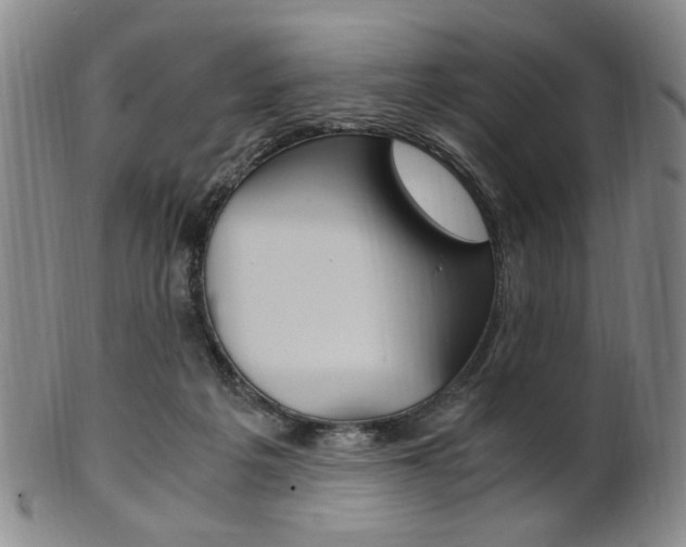 X0000101660217200807101033
