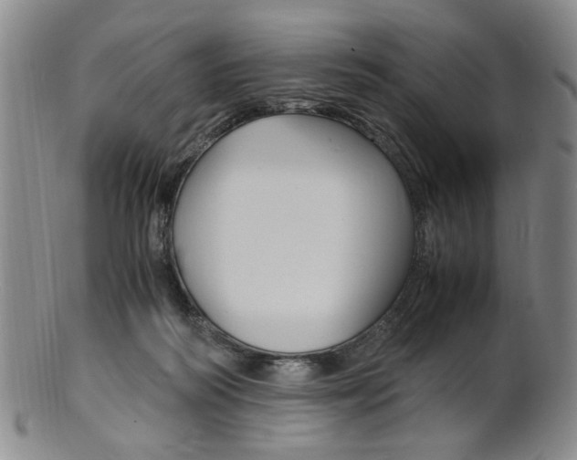 X0000101660218200807101033