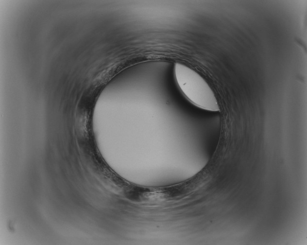 X0000101660219200807101033