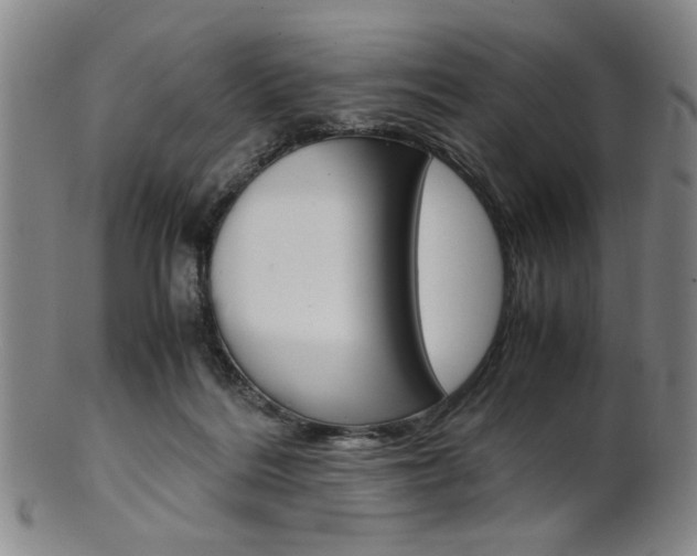 X0000101660220200807101033