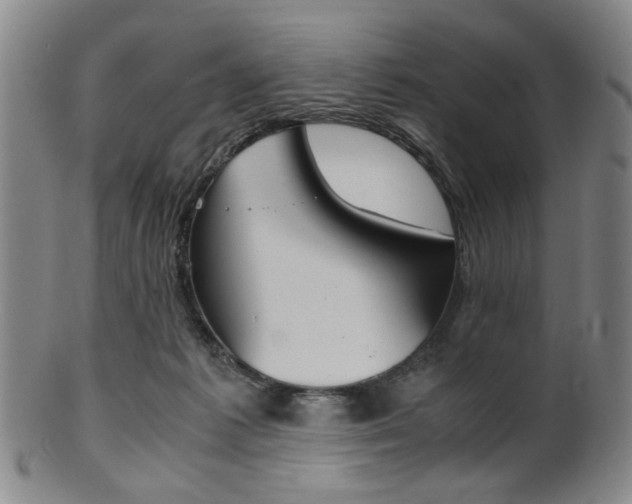 X0000101660221200807101033