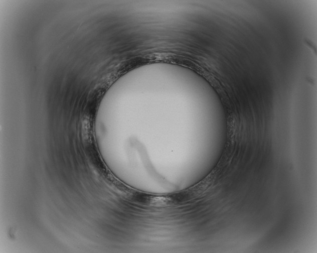 X0000101660222200807101033