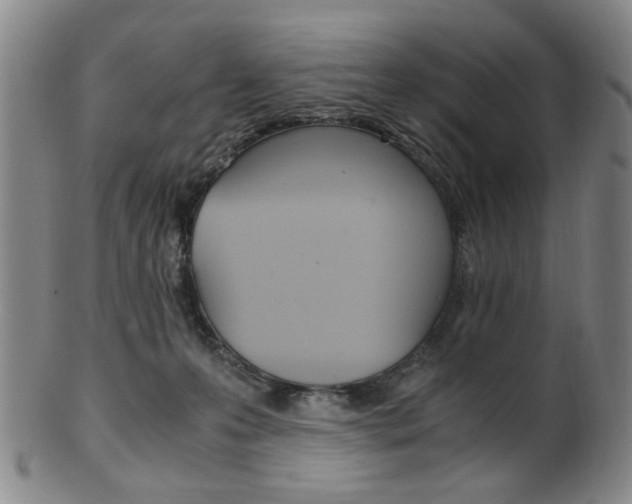 X0000101660223200807101033