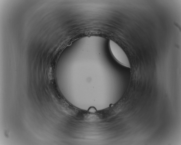 X0000101660224200807101033