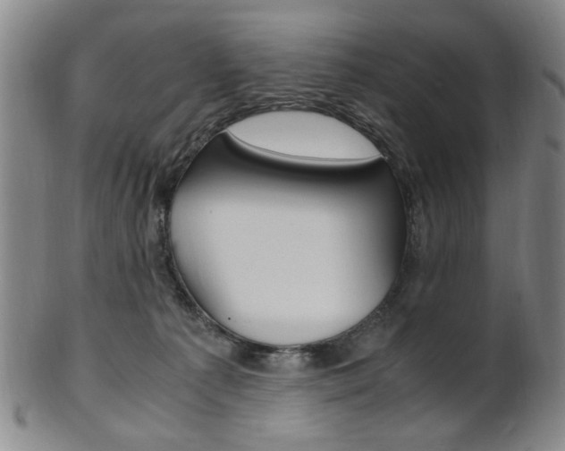 X0000101660225200807101033