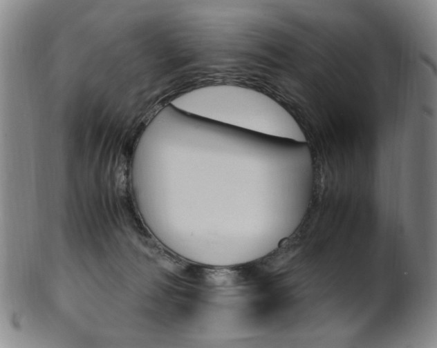 X0000101660226200807101033
