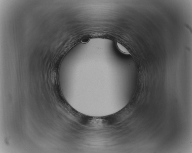 X0000101660227200807101033