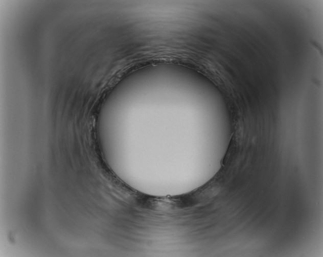 X0000101660229200807101033