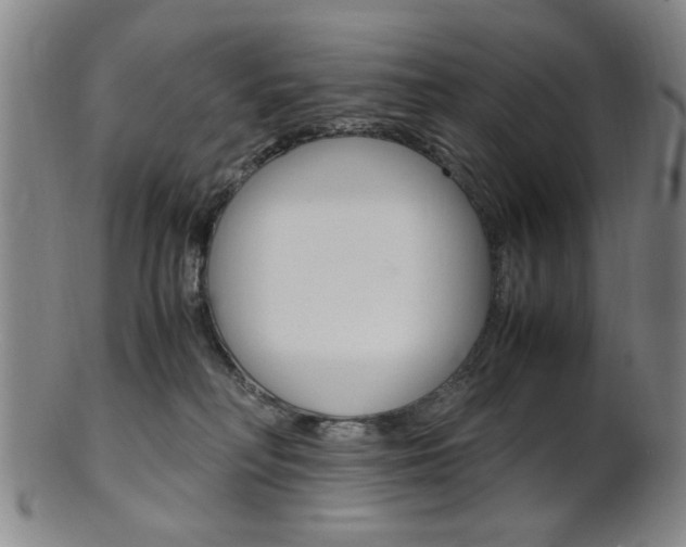 X0000101660230200807101033